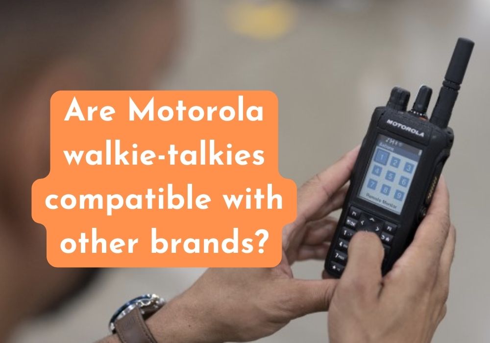 Motorola walkie talkie dealers in india
